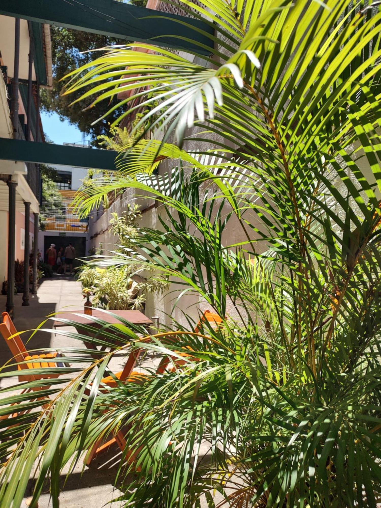Rio Hostal *