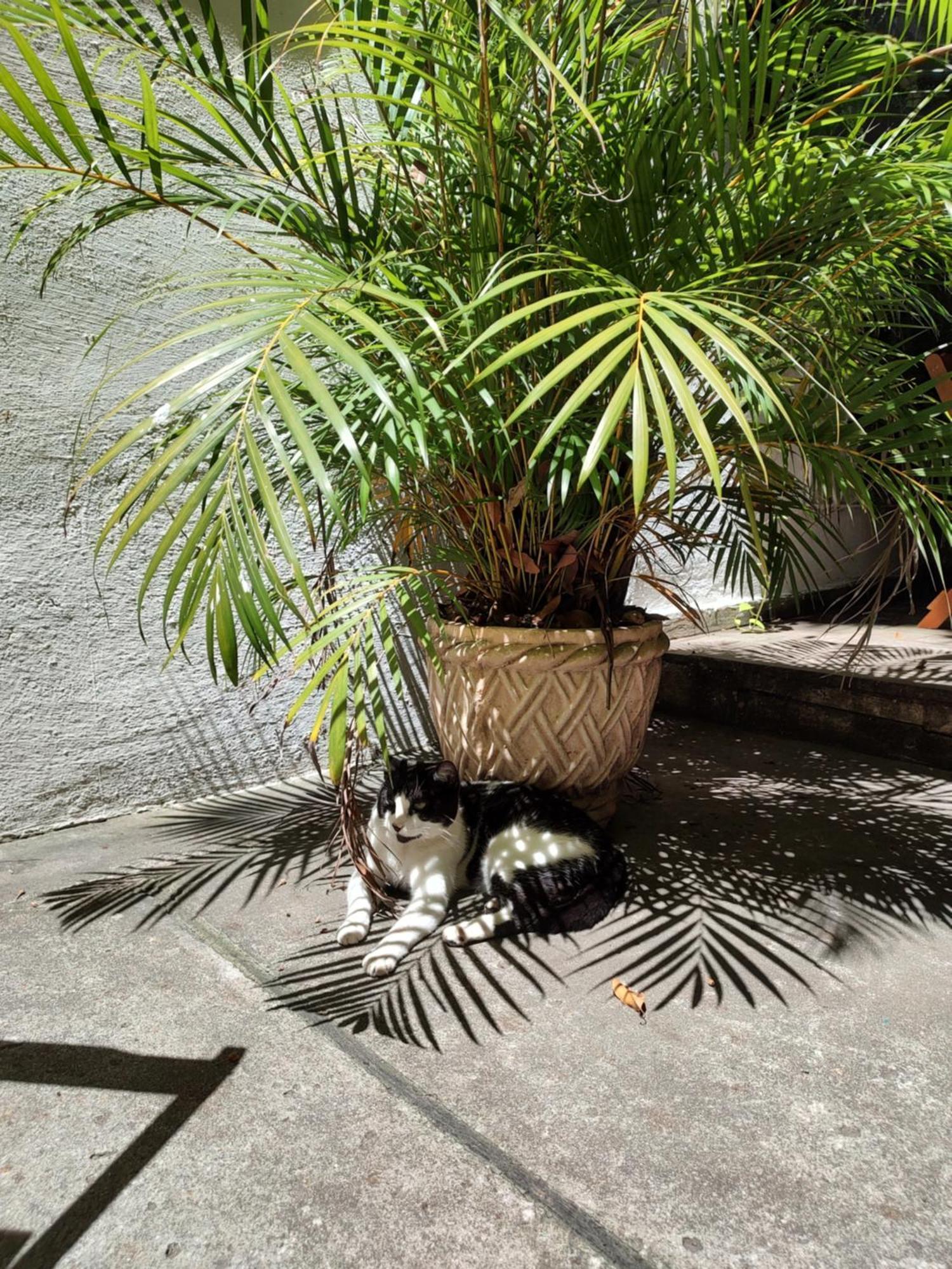 Rio Hostal *